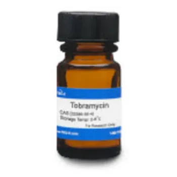Tobramycin Injection